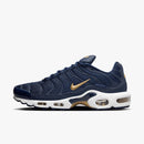 Nike Air max plus TN ''FFF''
