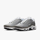 Nike Air max plus TN ''Flat pewter''