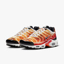 Nike Air max plus TN ''Ligth phothography''