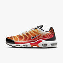 Nike Air max plus TN ''Ligth phothography''