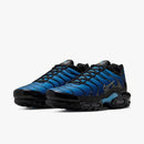Nike Air max plus TN ''Nature blue''