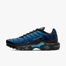 Nike Air max plus TN ''Nature blue''