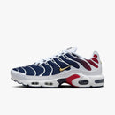 Nike air max plus TN ''PSG''