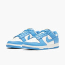 Nike dunk low ''Coast''